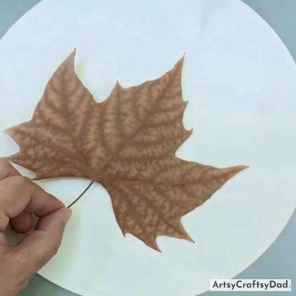 Pasting Leaf