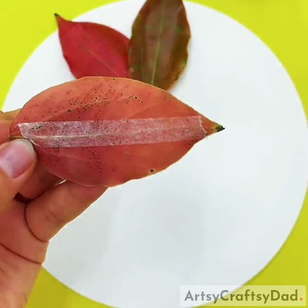 Pasting Double Sided Tape On the leaf