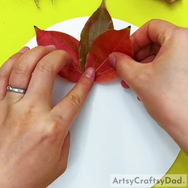 Pasting Leaves