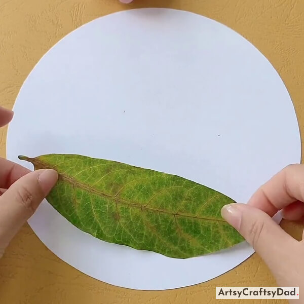 Pasting Green Leaf