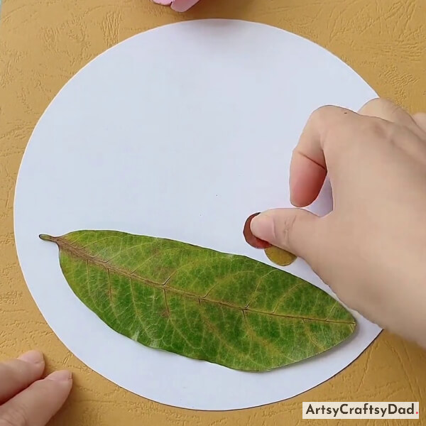 Cutting & Pasting Small Circle Leaves