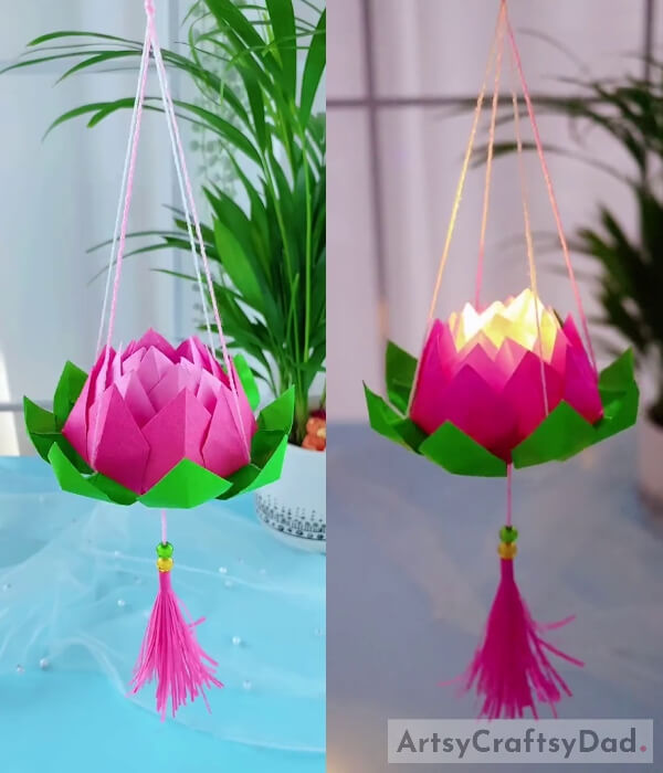 Finally, Paper Lotus Lantern Hanging is Ready!