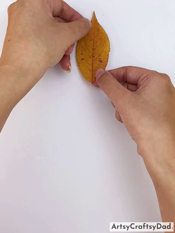 Pasting Leaf on White Paper