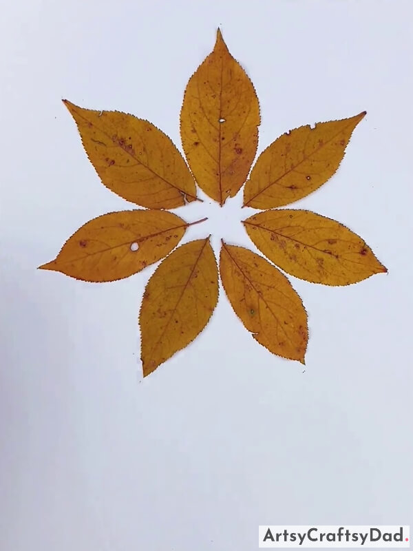 Pasting All Leaves in a Circular Shape