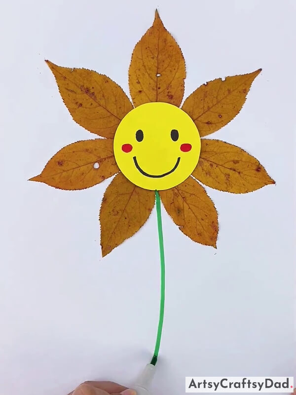 Drawing Stem of Sunflower