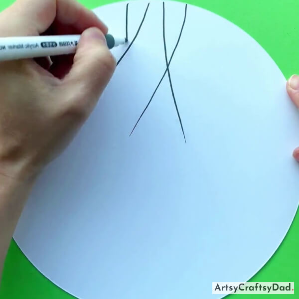 Drawing Tree Branches