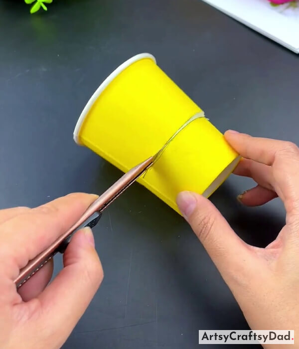 Cutting Cup Horizontally