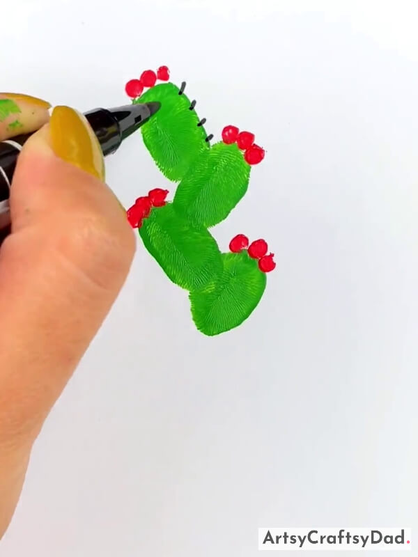 Drawing Spines Of Cactus By Using A Black Marker