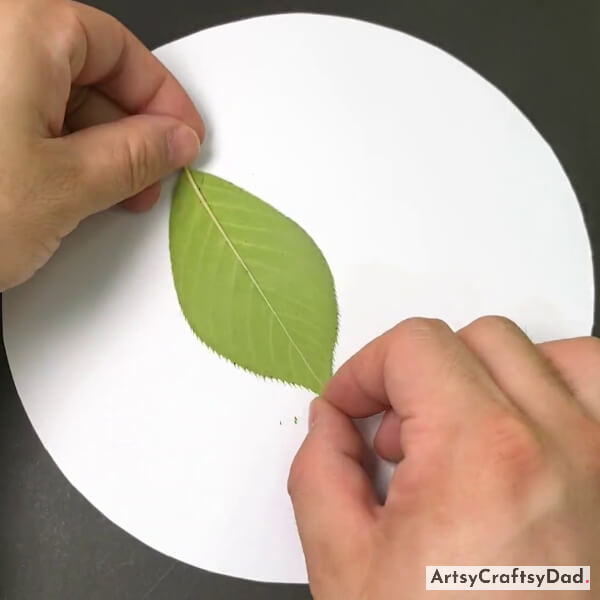 Stamping Leaf