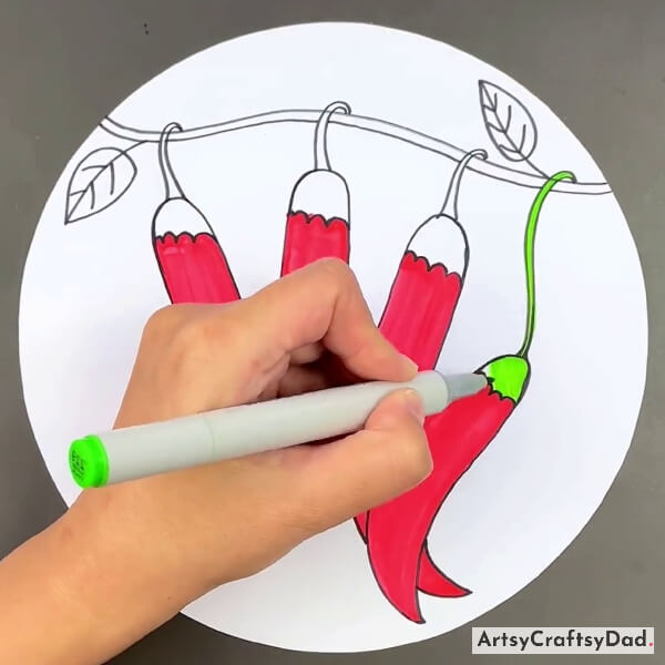 Colouring The Chilies Pedicel Part