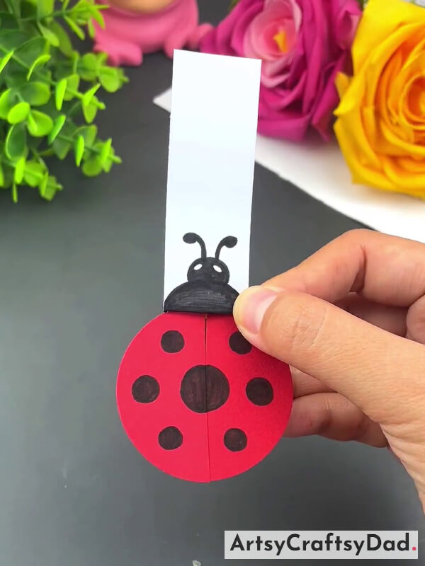 Drawing Ladybugs Details