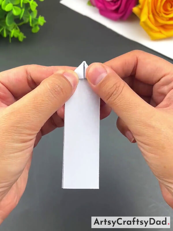 Folding The Paper & Make Two Triangle