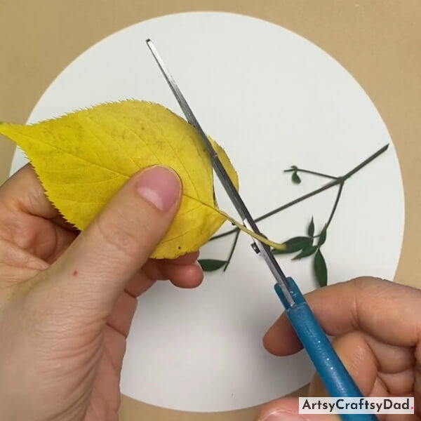 Cutting Leaf