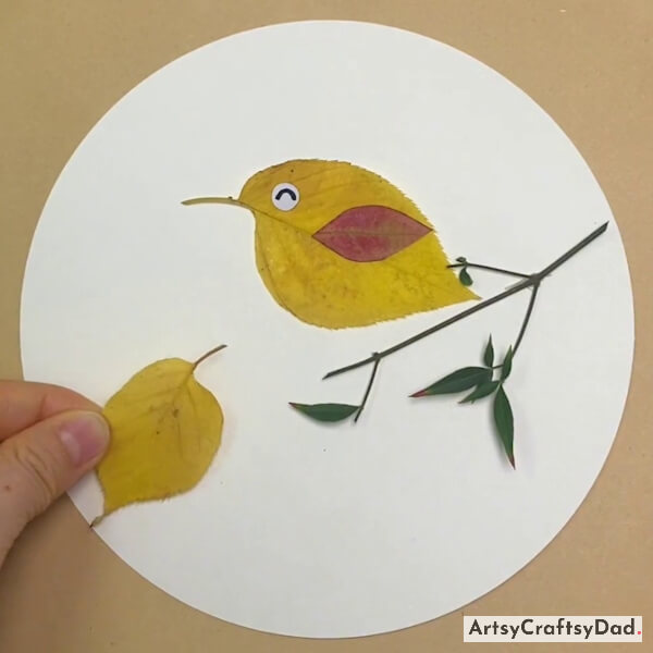 Making Another Bird