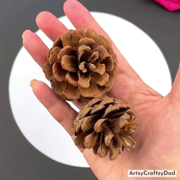 Working With Pine Cones