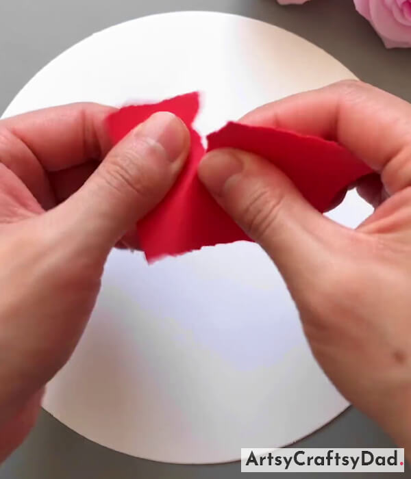 Prepare Background And Shapes