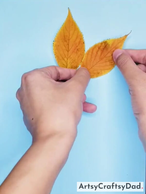 Pasting Another Leave