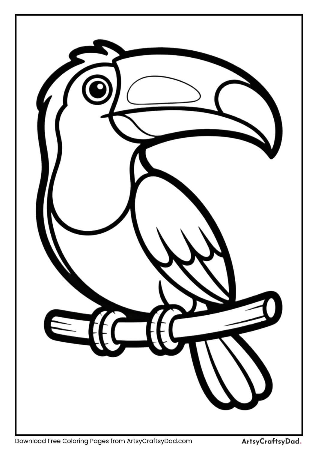 Toucan bird black and white coloring page