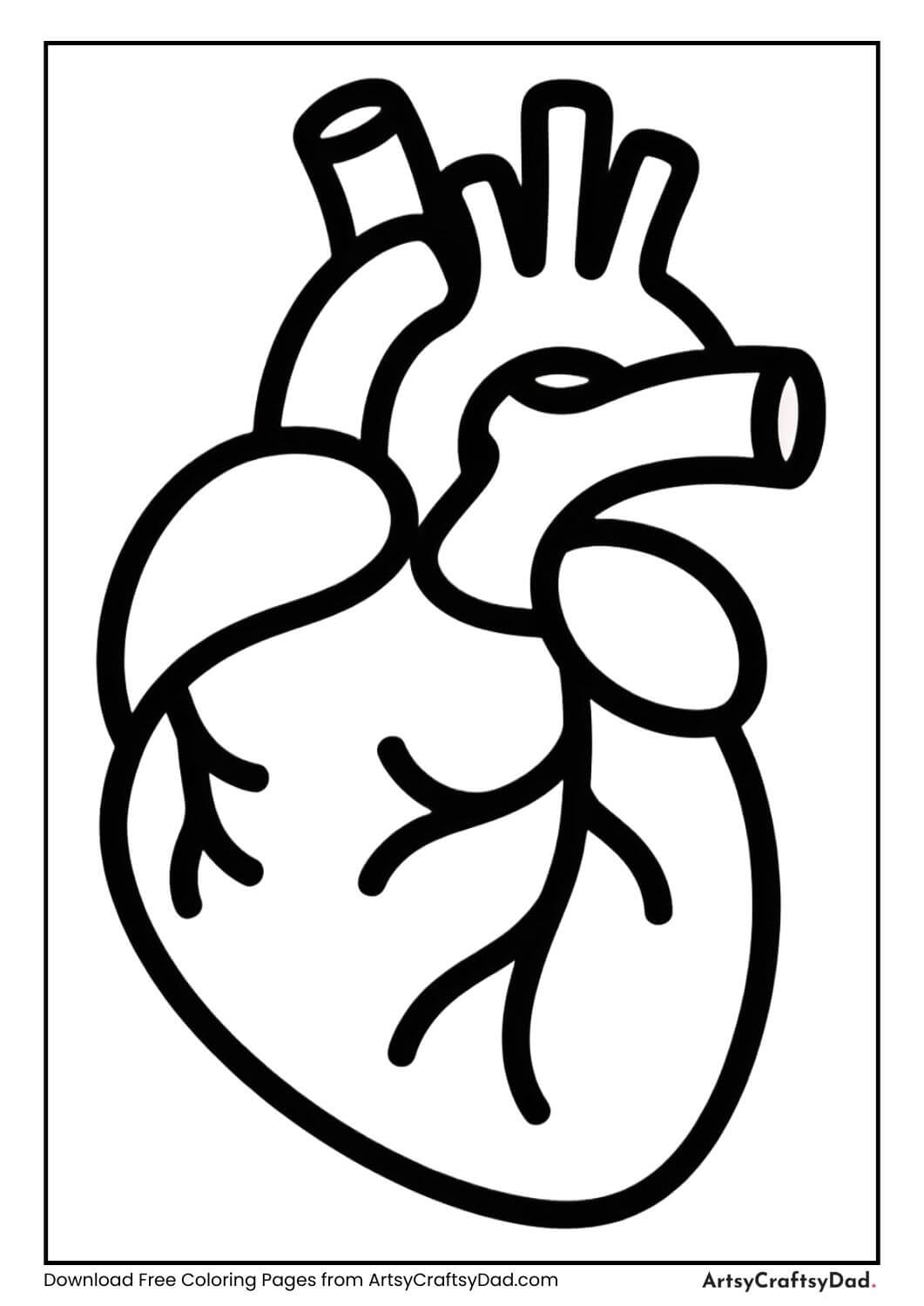 Human organs coloring page for kids