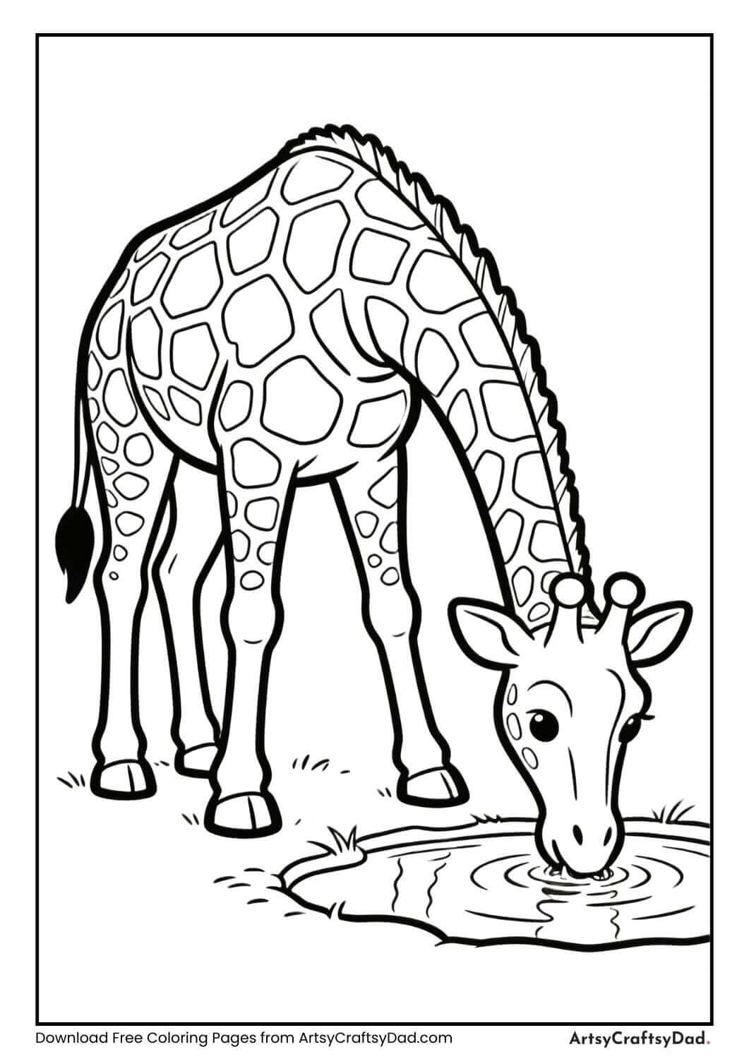 Giraffe drinking water coloring page