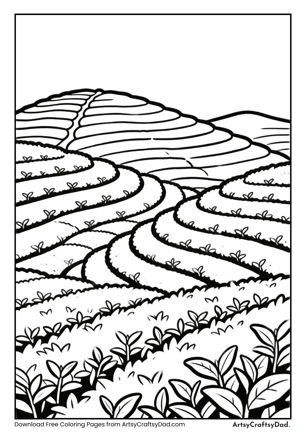 Coloring page of a tea garden with rows of plants and hills in a hill station.