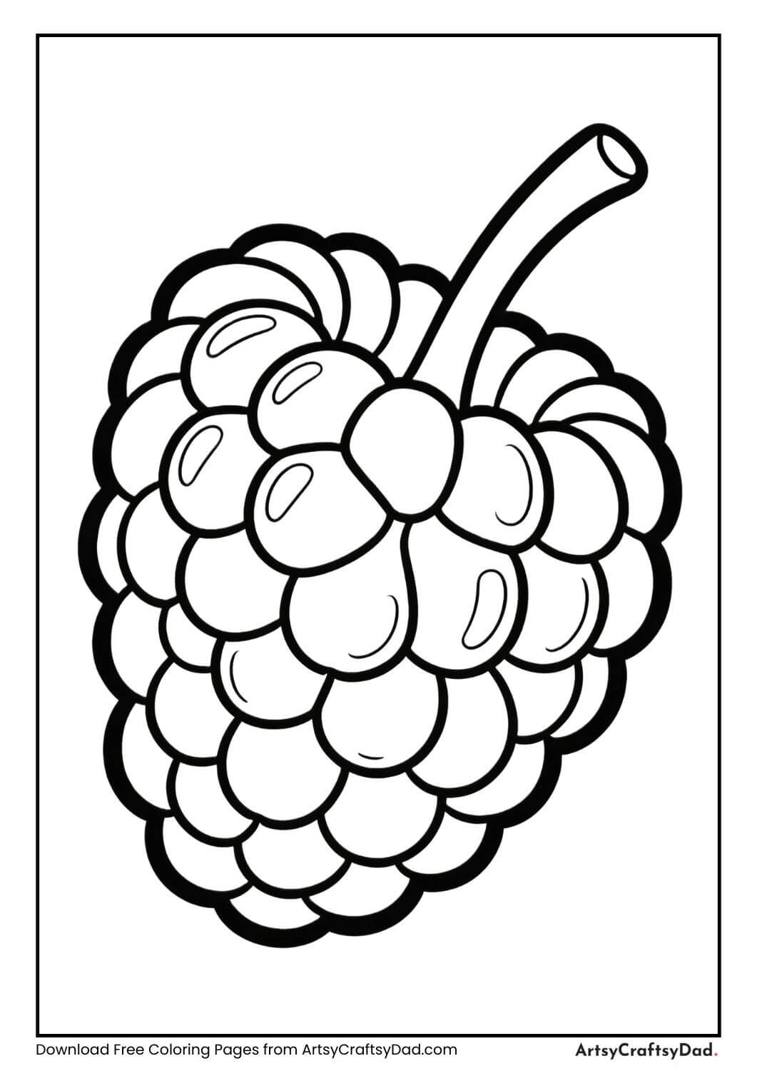 Black and white raspberry bunch coloring page for kids