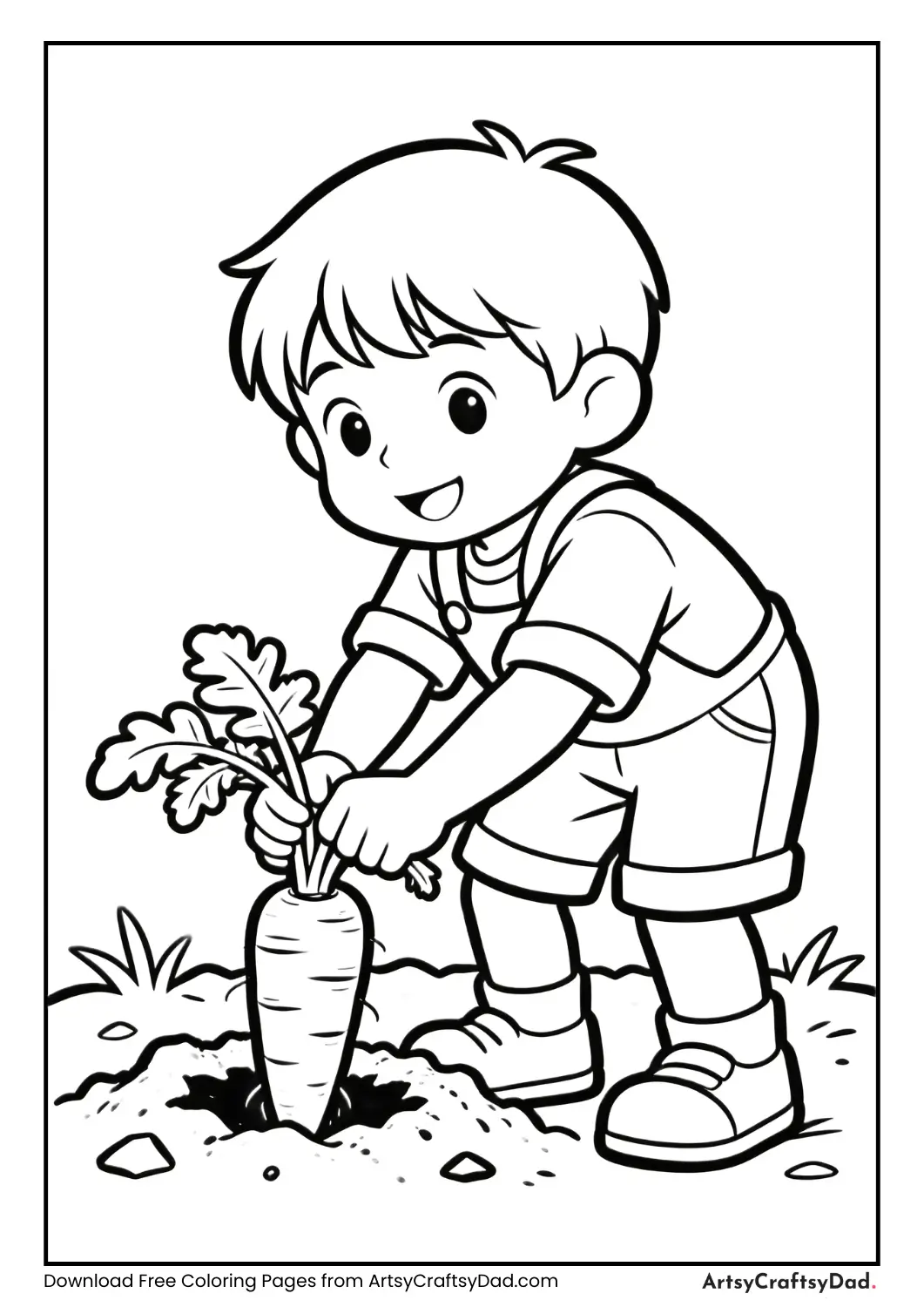 Girl picking carrots from a garden