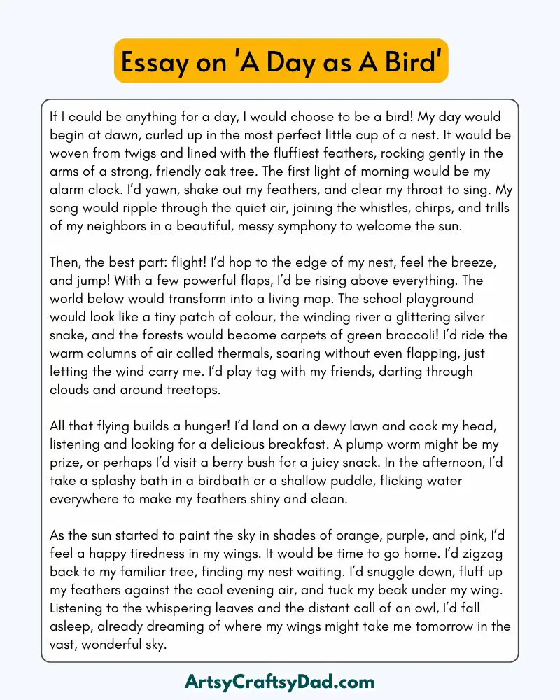 'A Day as A Bird' – 300 Words Essay for Grades 8 to 10 Students