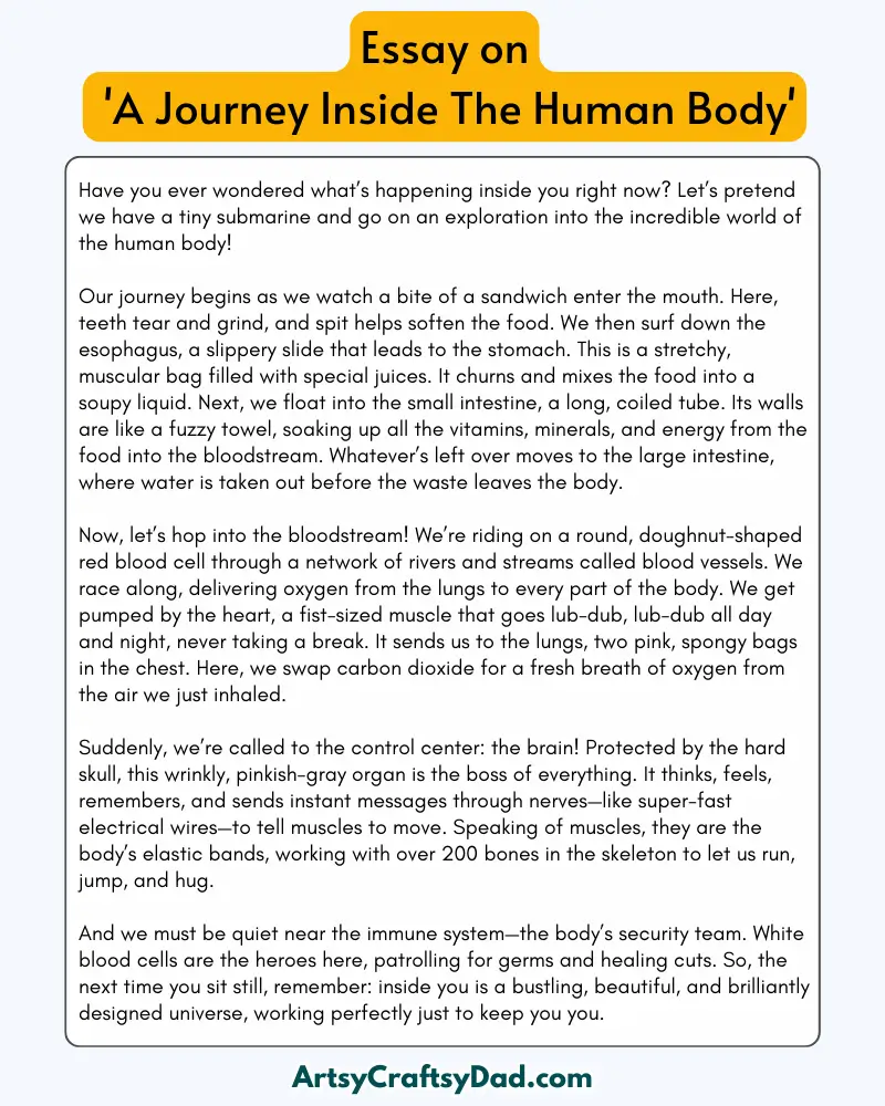 'A Journey Inside The Human Body' – 300 Words Essay for Grades 8 to 10 Students