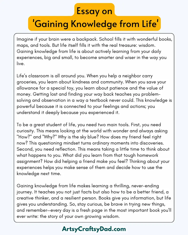 'Gaining Knowledge from Life' - 300 Words Essay for Grades 9 to 10 Students
