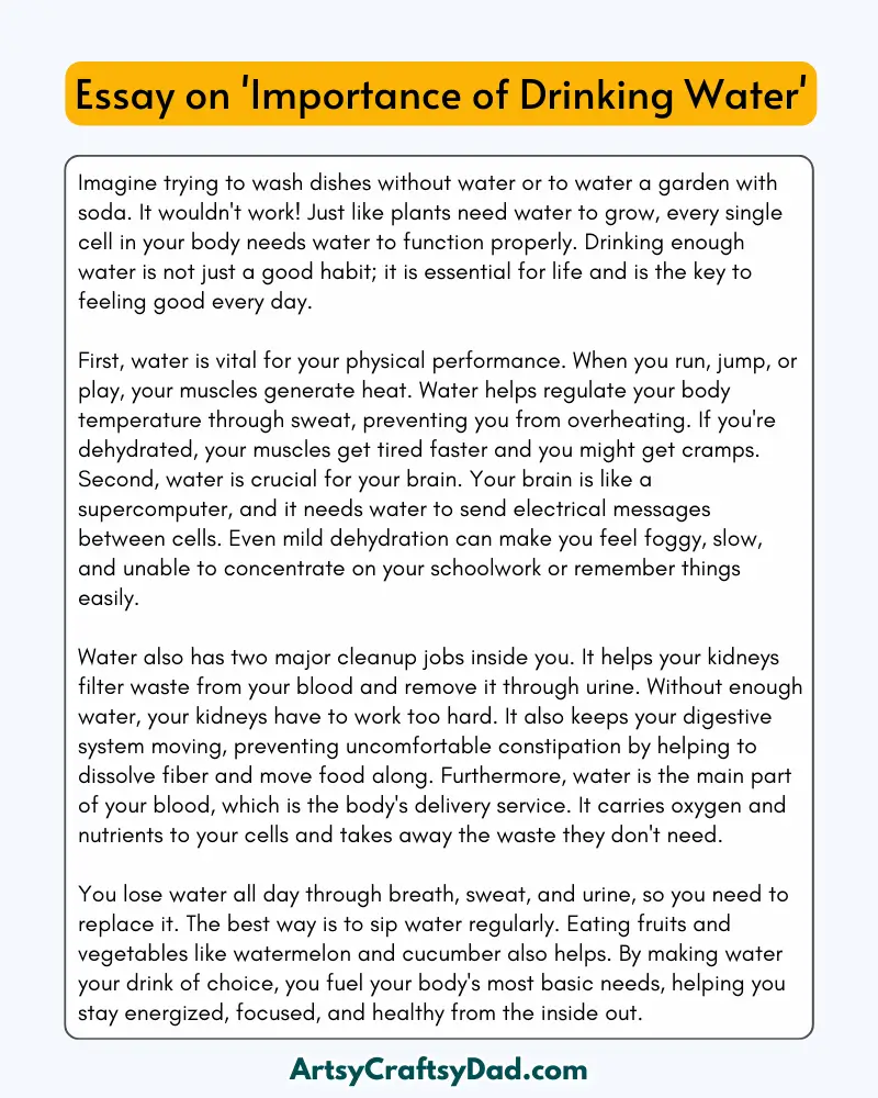 'Importance of Drinking Water' - 300 Words  Essay for Grades 7 to 8 Students