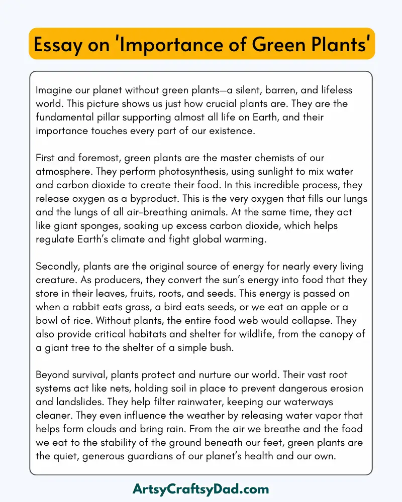 'Importance of Green Plants' - 300 Words  Essay for Grades 8 to 10 Students