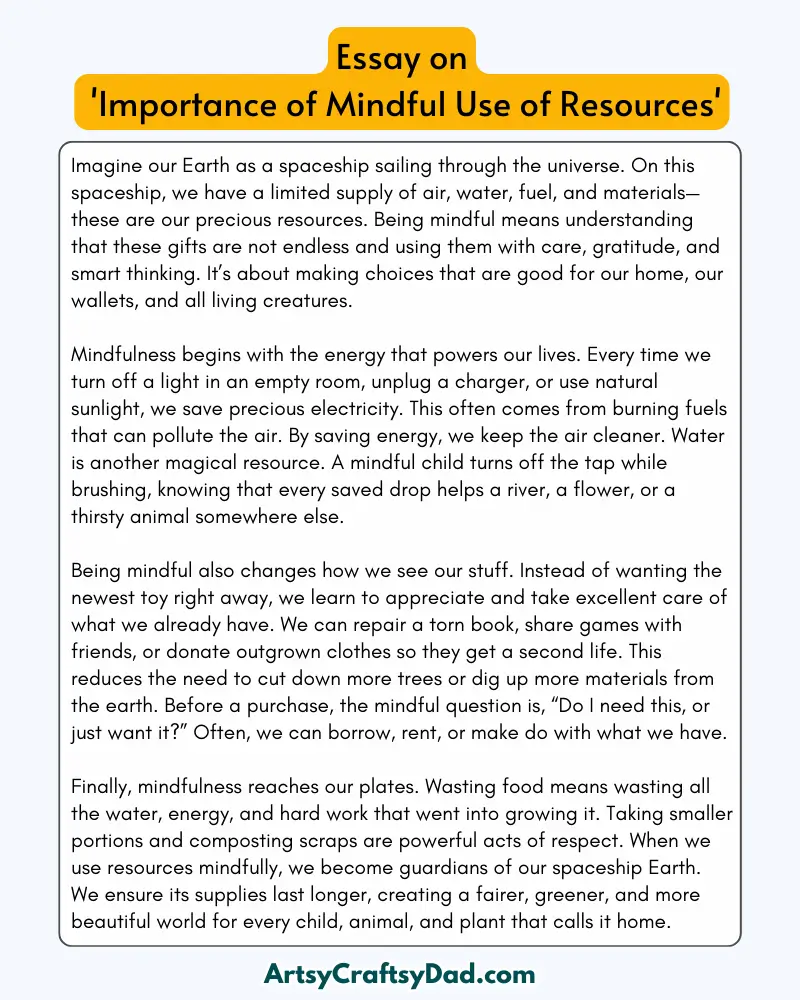 'Importance of Mindful Use of Resources' - 300 Words  Essay for Grades 9 to 10 Students