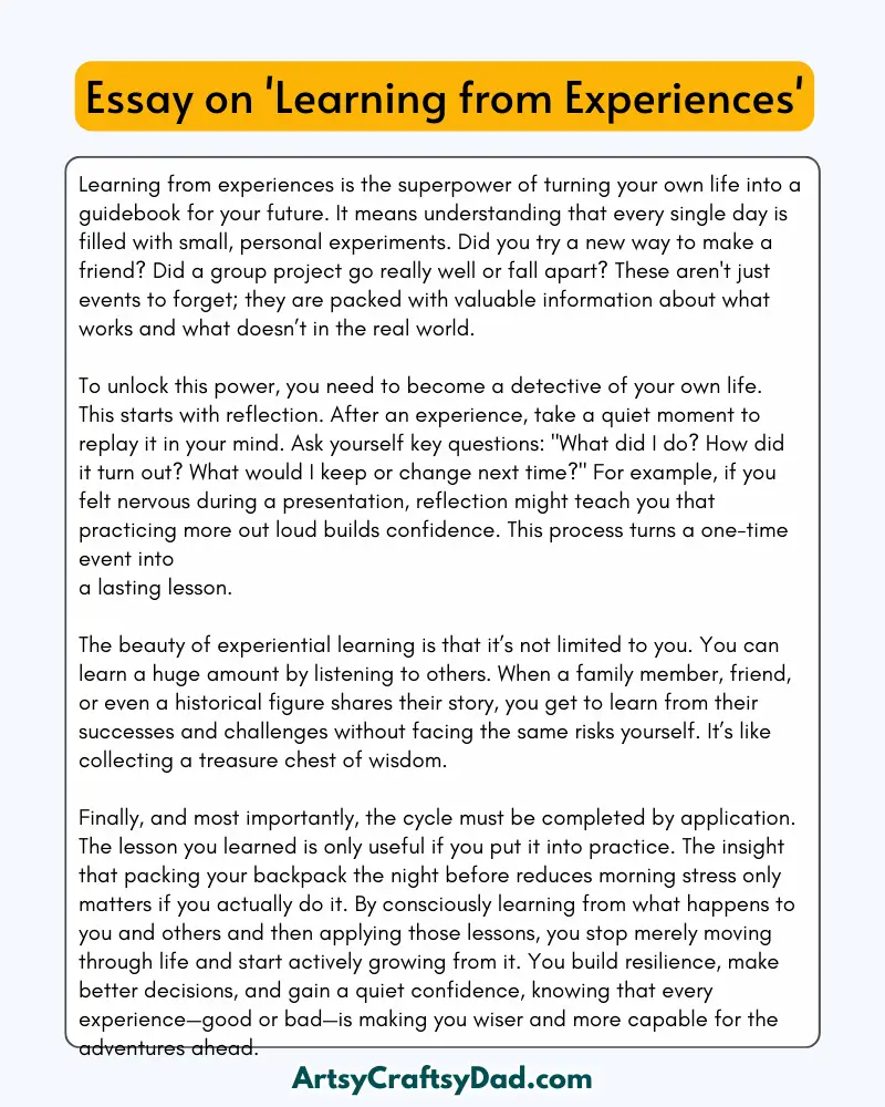 'Learning from Experiences' - 300 Words  Essay for Grades 7 to 8 Students