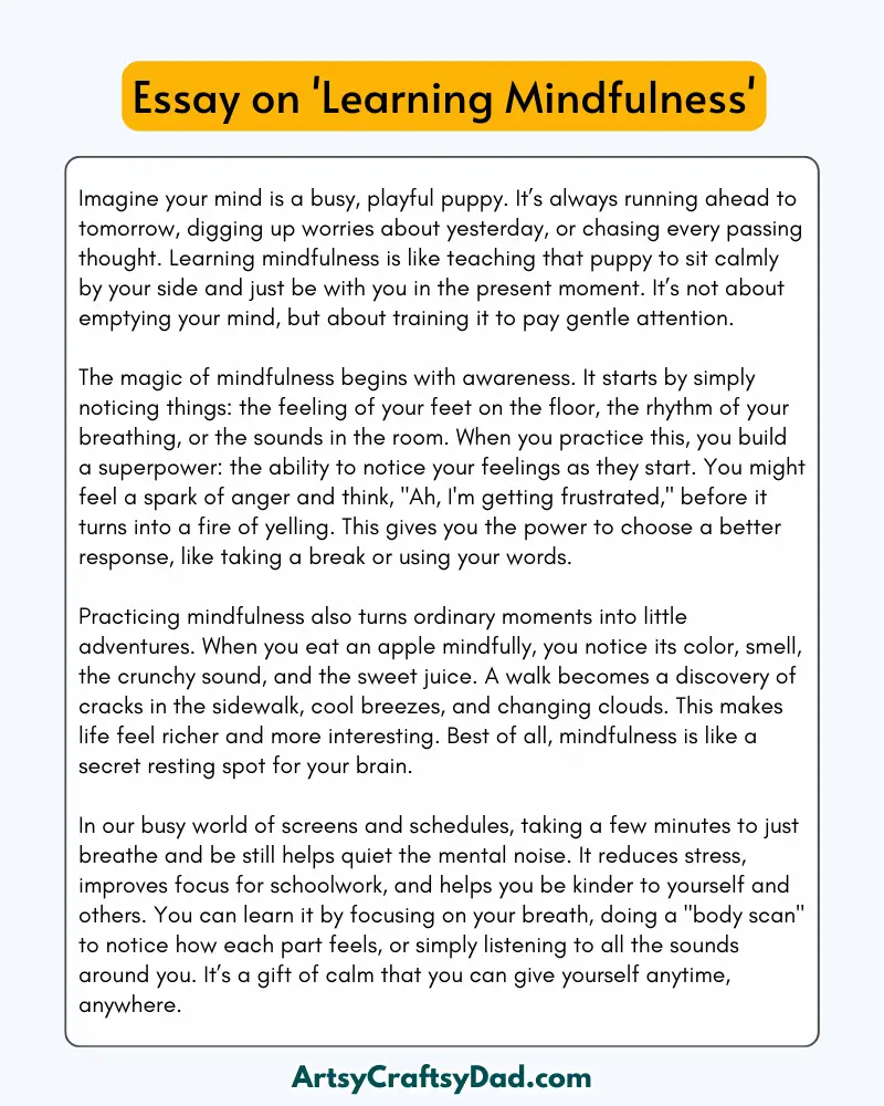 'Learning Mindfulness' - 300 Words Essay for Grades 9 to 10 Students