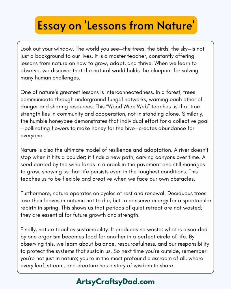 'Lessons from Nature' - 300 Words Essay for Grades 7 to 8 Students
