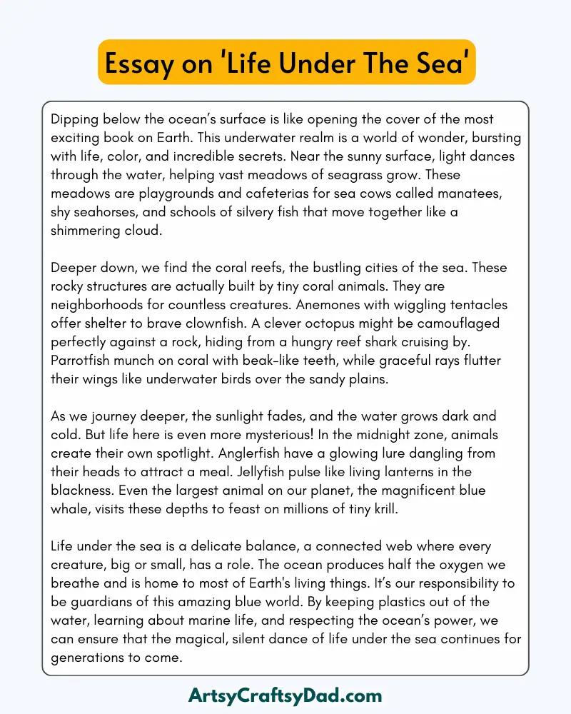 'Life Under The Sea' – 300 Words Essay for grades 8 to 10 Students