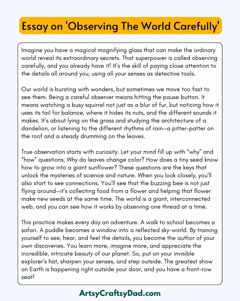 'Observing The World Carefully' – 300 Words Essay for Grades 8 to 10 Students