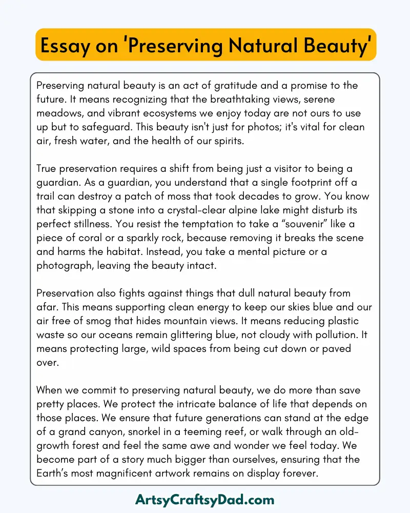 'Preserving Natural Beauty' - 300 Words  Essay for Grades 9 to 10 Students