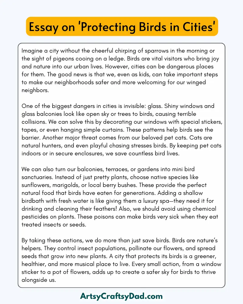 'Protecting Birds in Cities' - 300 Words  Essay for Grade 9 to 10 Students