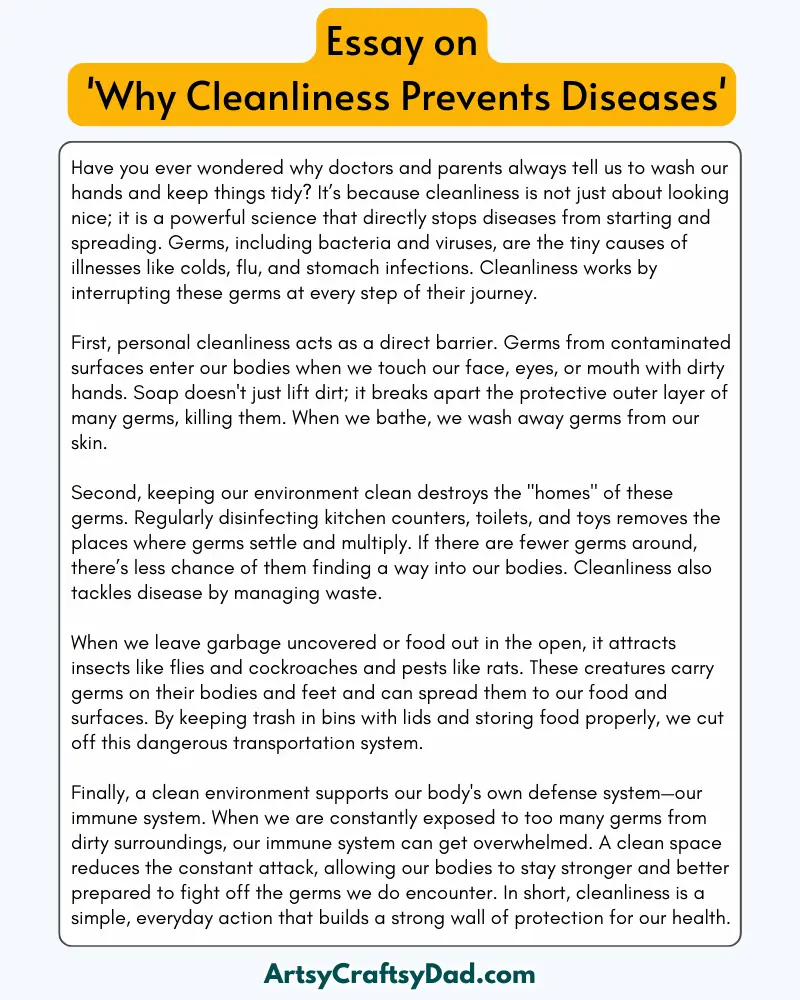 'Why Cleanliness Prevents Diseases' - 300 Words  Essay for Grades 7 to 10 Students