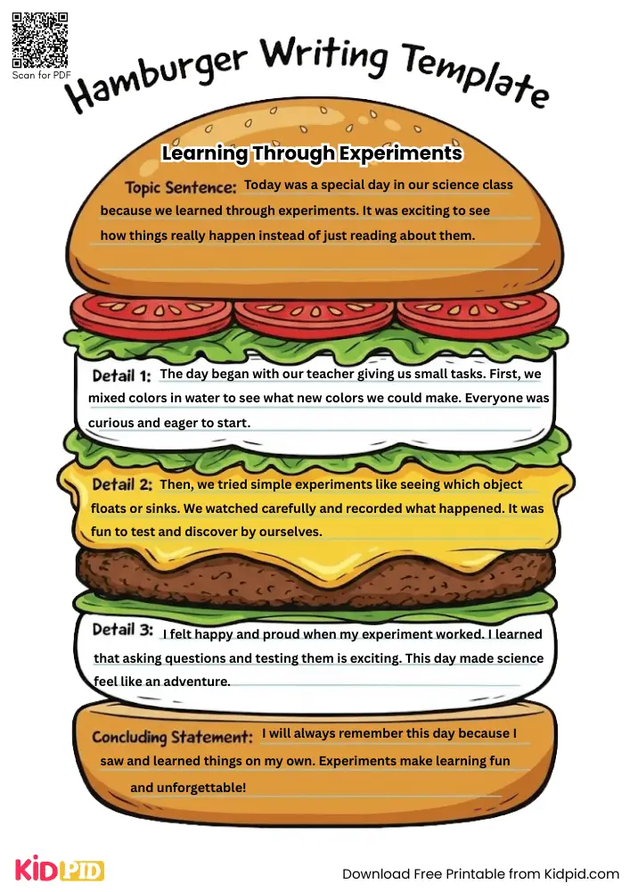 Hamburger Paragraph on 'Learning through experiments' (Free Template)