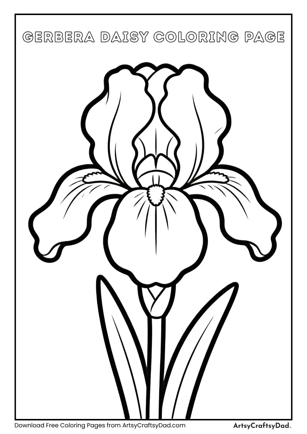 Gerbera daisy coloring page black and white