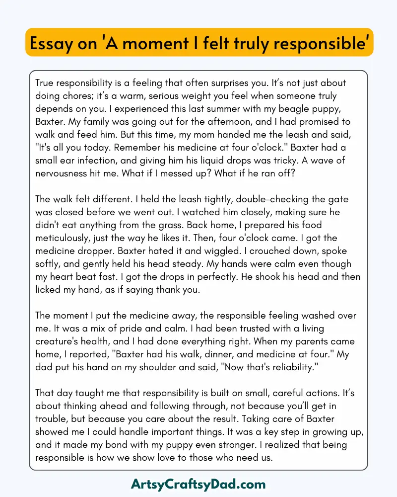 'A Moment I Felt Truly Responsible' - 300 Words Essay for Grades 8 to 10 Students
