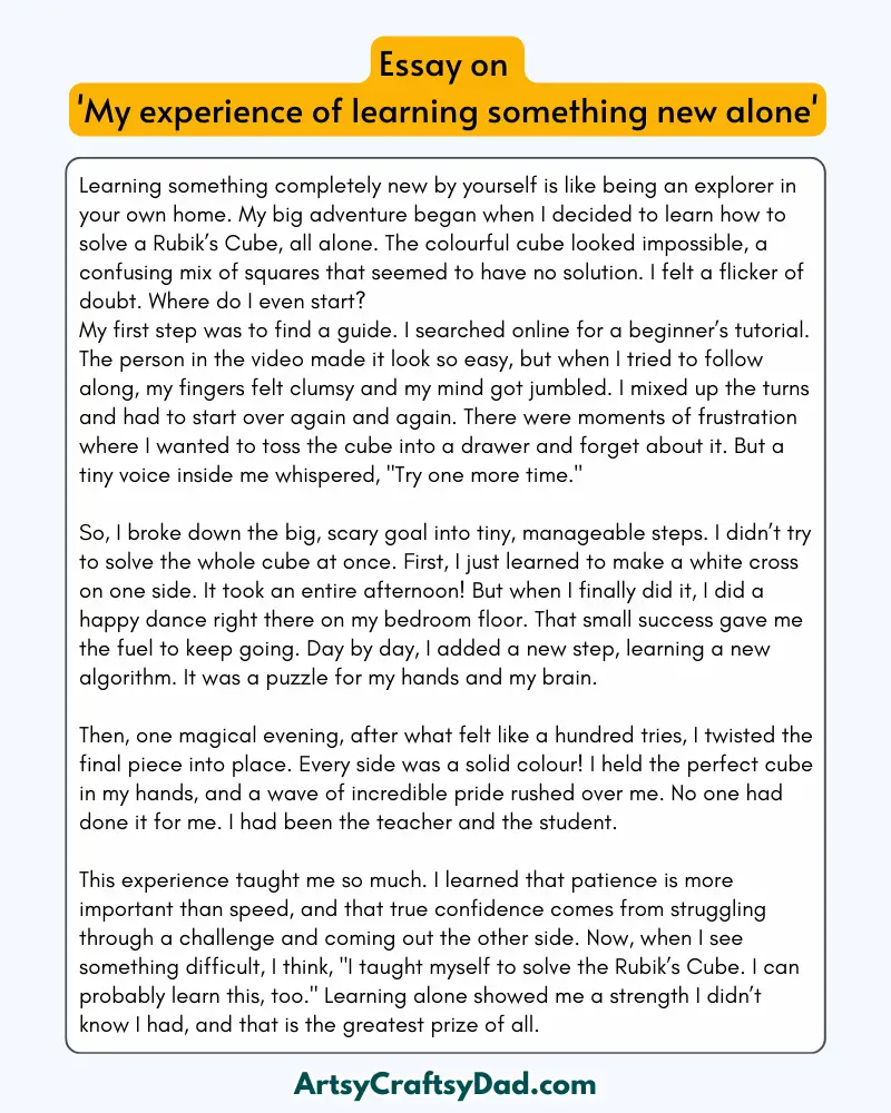 'My Experience of Learning Something New Alone' - 300 Words Essay for Grades 8 to 10 Students