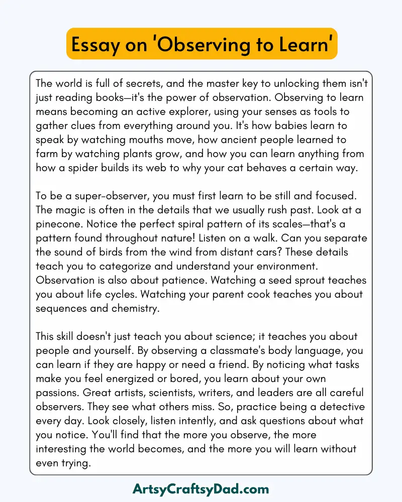 'Observing to Learn' - 300 Words Essay for Grades 8 to 10 Students