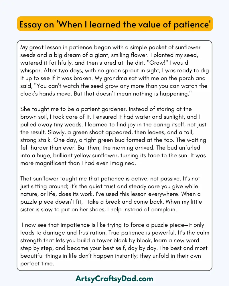 'When I Learned The Value of Patience' - 300 Words Essay for Grades 8 to 10 Students