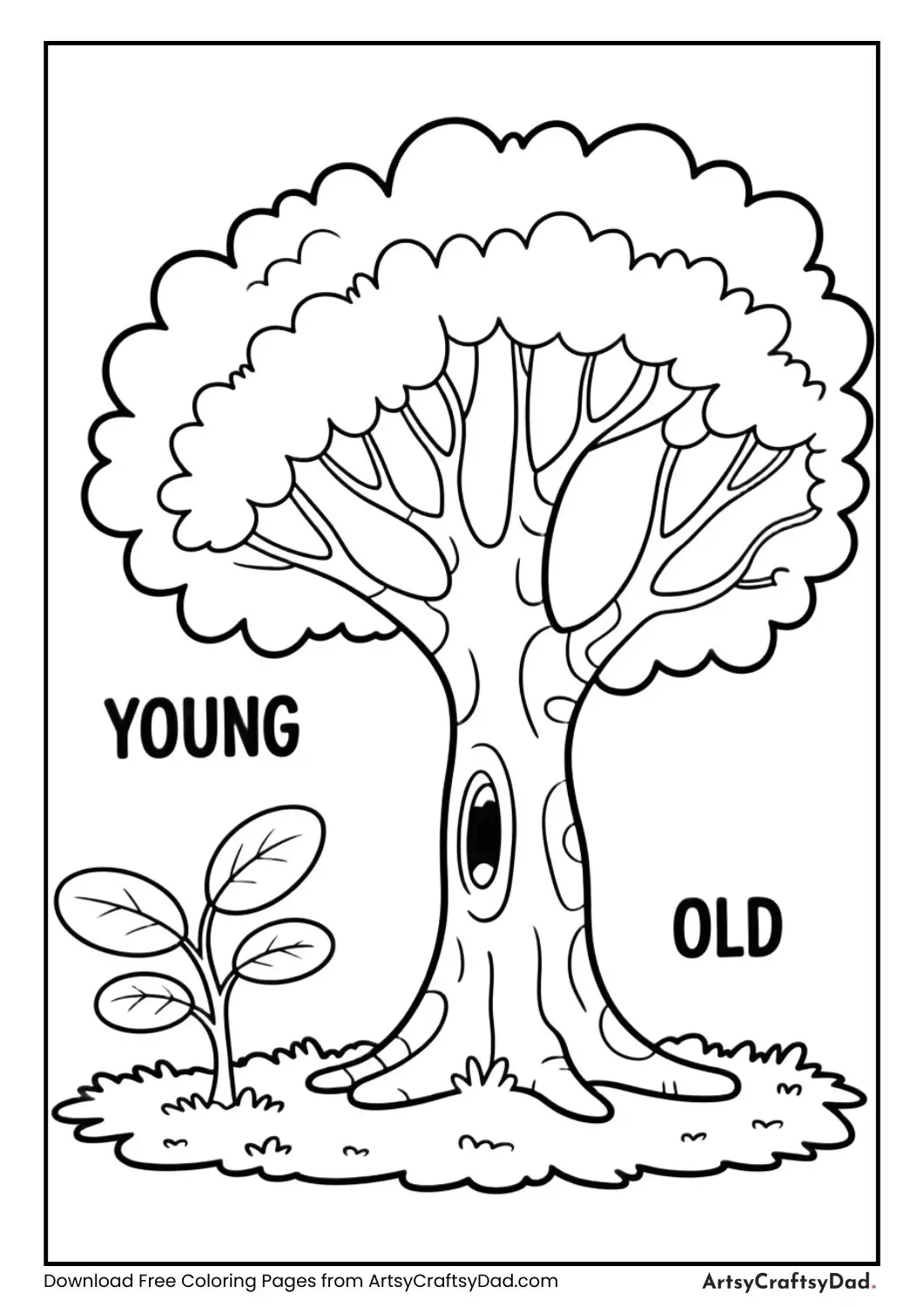 Young small tree and old large tree coloring page