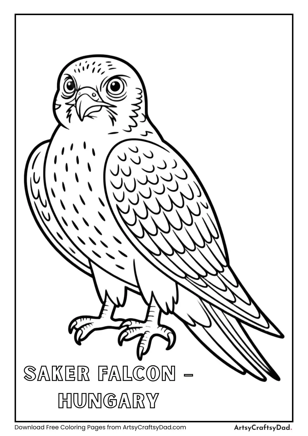 Black and white Saker Falcon perched labeled Hungary
