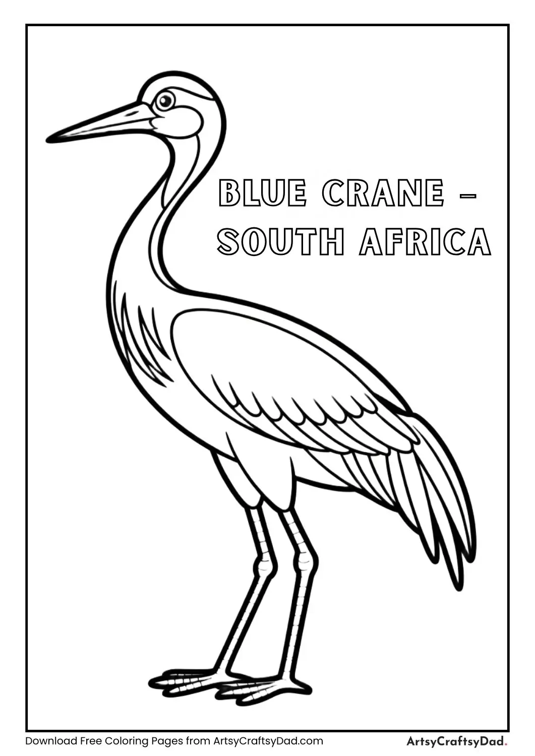 Black and white Blue Crane standing labeled South Africa
